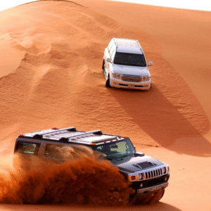 Standard Evening Desert Safari with BBQ Dinner